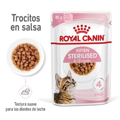 Royal Canin Kitten Sterilised salsa sobre para gatos 